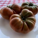 Çikolata Domates Fidesi