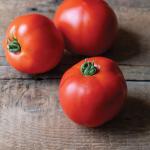 Organik Domates Fidesi Satış